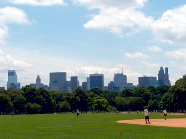  La intensidad de uso del Central Park exige un excepcional trabajo de mantenimiento y cuidado.